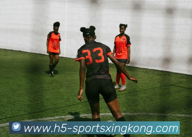 星空体育平台生态图