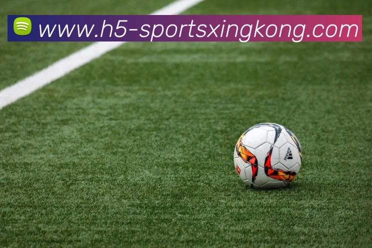 星空体育全站App